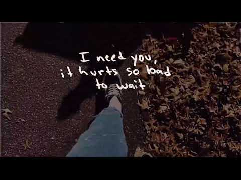 Abe Parker - Stupid Face (Lyrics)