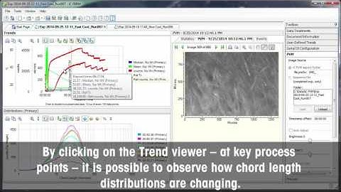 iC FBRM: Analyzing and Reporting