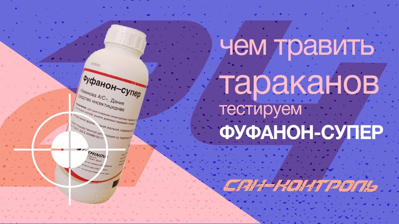 Отрава для собак название. Чем травят профессионалы. Потравить насекомых в квартире. Чем травят профессионалы. Чем травят профессионалы.