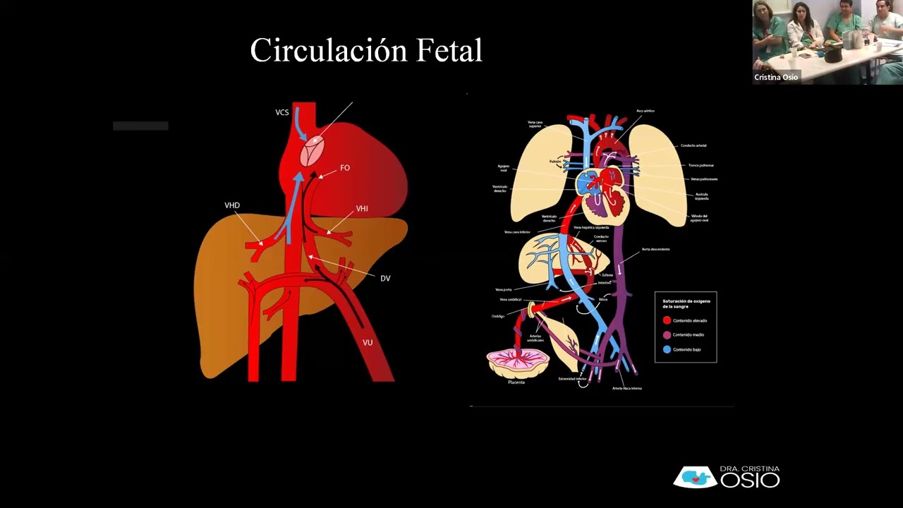 Conferencia: Abordaje del recién nacido con inestabilidad hemodinámica
