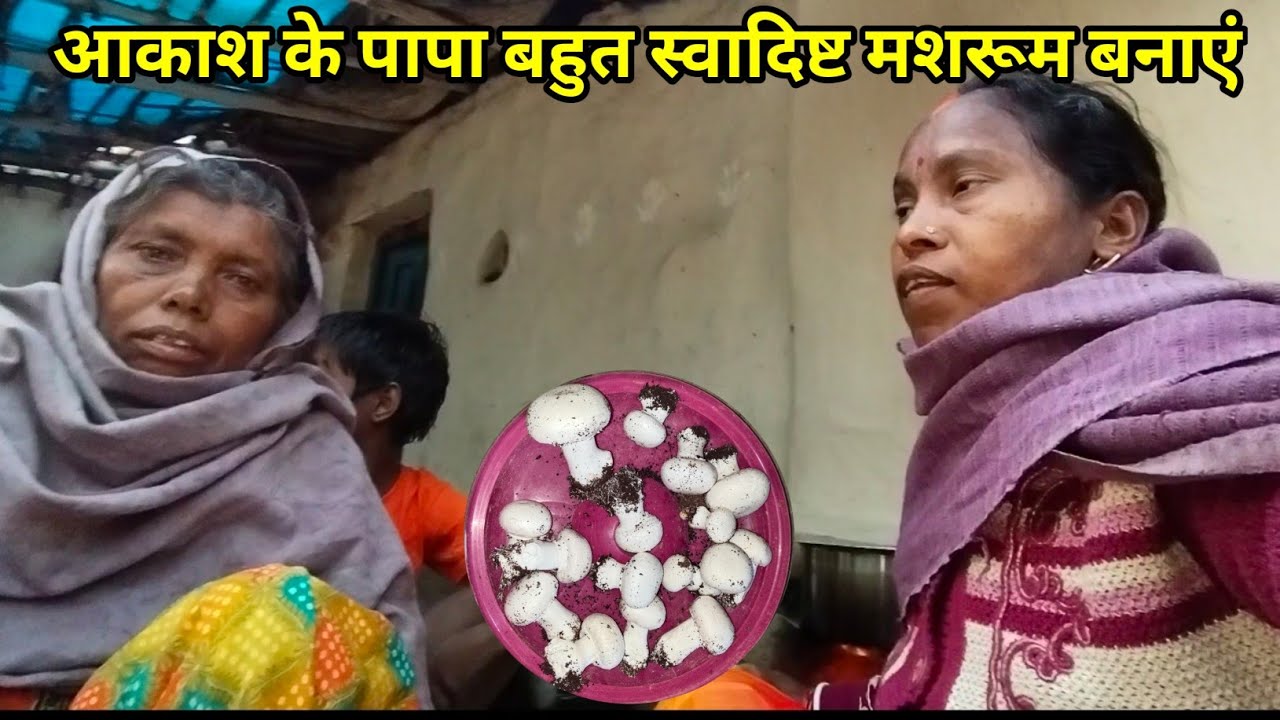 आकाश के पापा बहुत स्वादिष्ट मशरूम बनाएं ॥  Budhani ki duniya