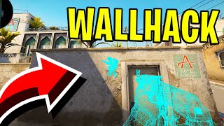 IL TROLLEZ pe COSTIN la CS:GO cu WALLHACK!