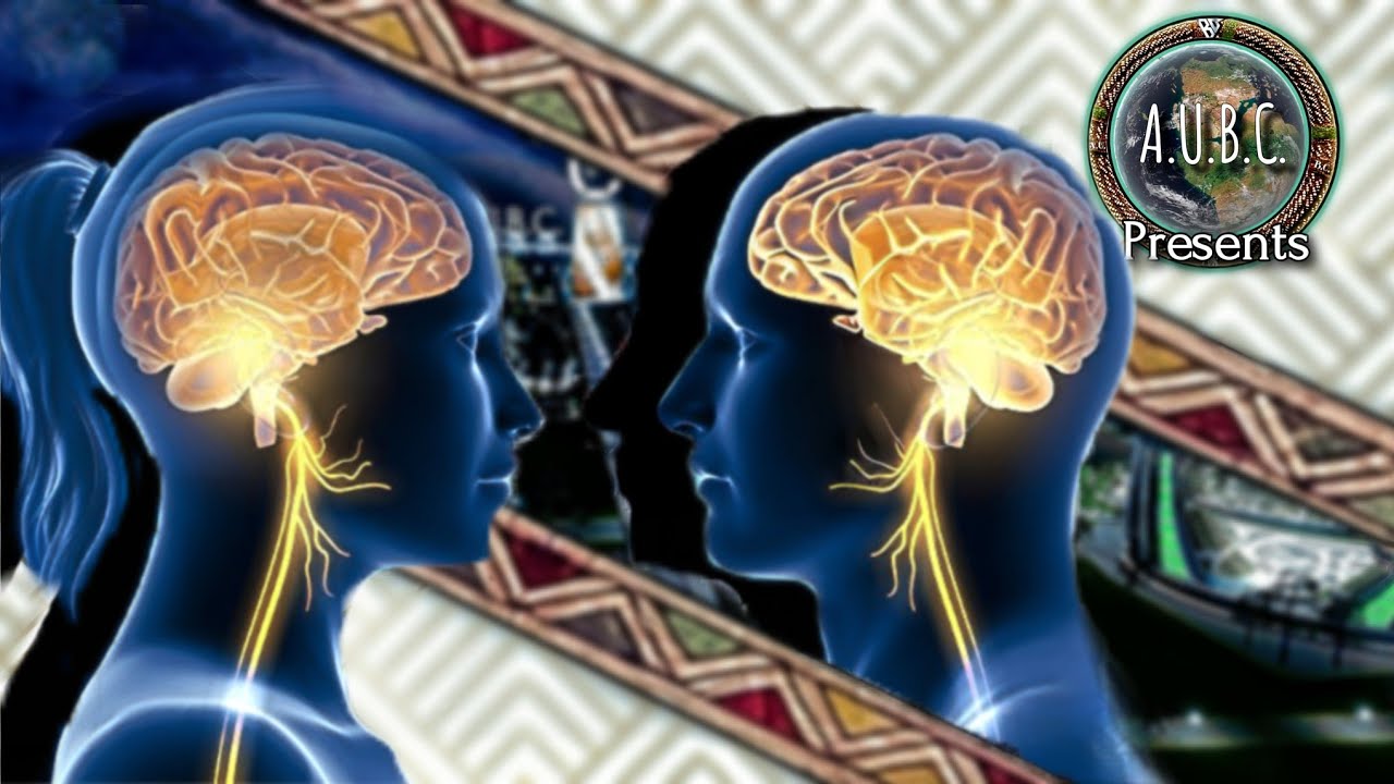 Active Neurons 3 · Simulator o2