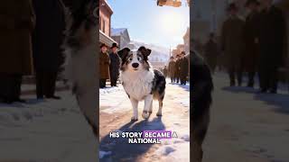 HE WAS LOST 2,500 MILES AWAY… You won't believe how he got home! 😱🐕