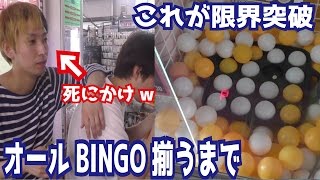 【前人未到】たこやき機のUFOキャッチャーを日本一やり込んだらこうなるw