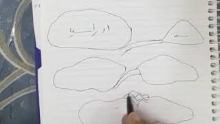 جيولوجيا | شرح نظرية الألواح التكتونية ( الجزء الثاني )