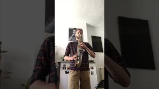 De saxofoon (jazz-pop-rock)