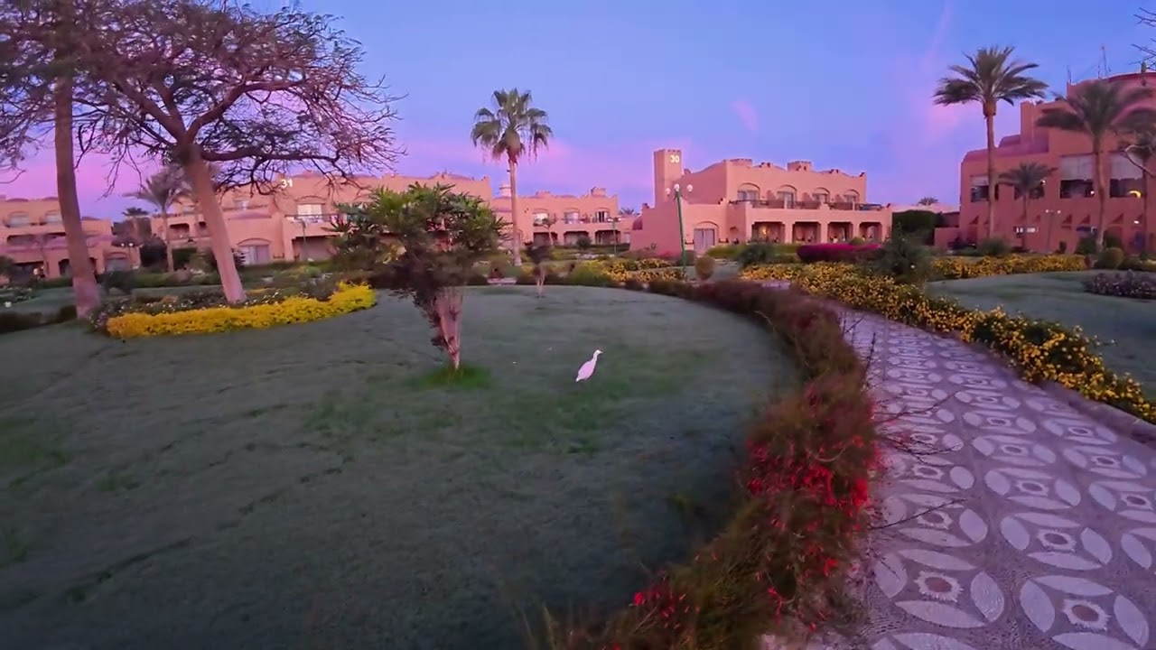 Poranny Spacer po Akassia Swiss Resort #Snorkeling #Akassia #Marsalam