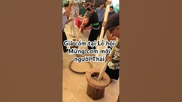 Độc đáo với phần thi Giã cốm tại Lễ hội Mừng cơm mới người Thái Điện Biên #sacmautaybac #giacom