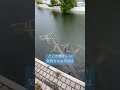 懐かしく切ないプール廃墟...