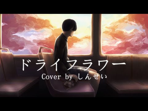 ドライフラワー／優里  歌ってみた  [vocal:しんせい]