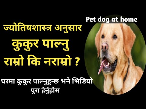 कुकुर पाल्नु राम्रो कि नराम्रो ? l Pet Dog at home l benefits of dog