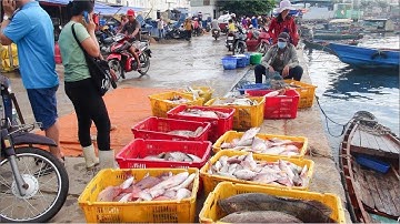 Tp. Phú Quốc Cảng Cá An Thới Hôm Nay, Cảng Cá Tấp Nập Nhất Phú Quốc