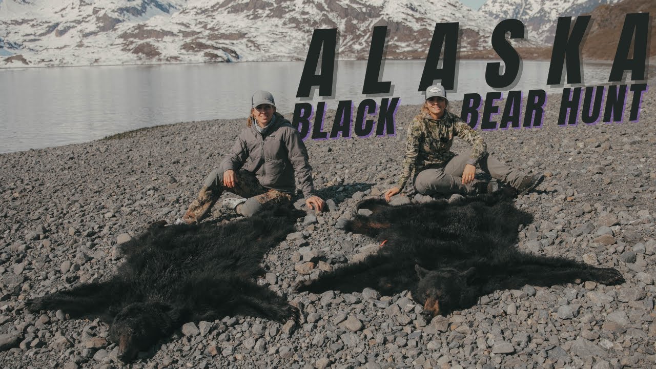 Alaska Black Bear Hunt | Tagged Out