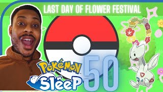 Pokemon Sleep 50: Preparing For Entei Let's Go Taupe Hollow!