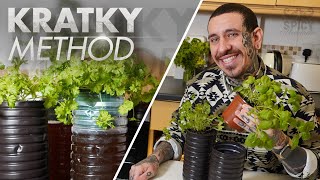 The easiest Hydroponic System | Kratky method