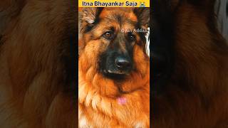 Most Dangerous Country In The W