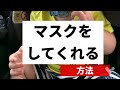 【一歳半でマスクがつけれる様になった方法】コロナ対策　ブス男一家の日常