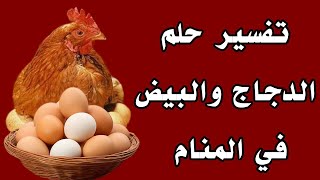 تفسير حلم الدجاج والبيض في المنام
