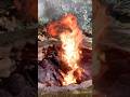 Brush burning tip for safer better fires #tips #shorts #fire