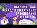 Вебинар "Глаукома как нейродегенеративное заболевание у животных"