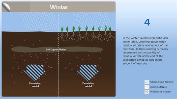How to control nitrogen leaching in the soil (Part 1)