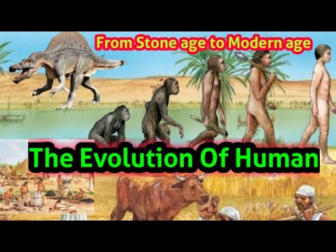 Como a sociedade humana evoluiu ao longo do tempo?