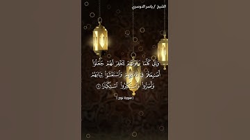 سورة نوح من آية 6 إلى آية 10 بصوت الشيخ ياسر الدوسري♥♥