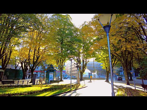 🇵🇹 Viseu, City with the best quality of life – November 2023 – Walking Tour 4K