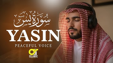 Surah Yasin (Yaseen) سورة يس | Wonderful Relaxing Heart Touching Voice | EP -120 @islamicvideos.a.r