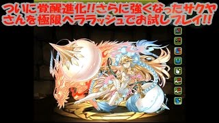 【パズドラ】覚醒サクヤ　お試し動画【ファミ通App】