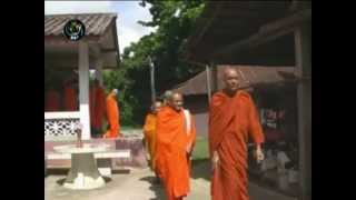 DVB 01.08.2012 - Documentary