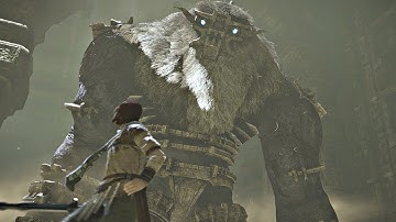 Shadow Of The Colossus | PS4 Remaster | Barba [#6] NTA/Speedrun | 36.05 | 2/19/2018