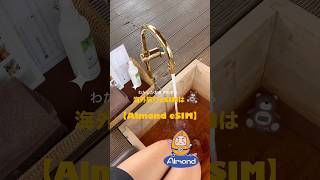 海外＆国内おすすめeSIM！