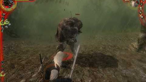 The Witcher - Slaying the Golem