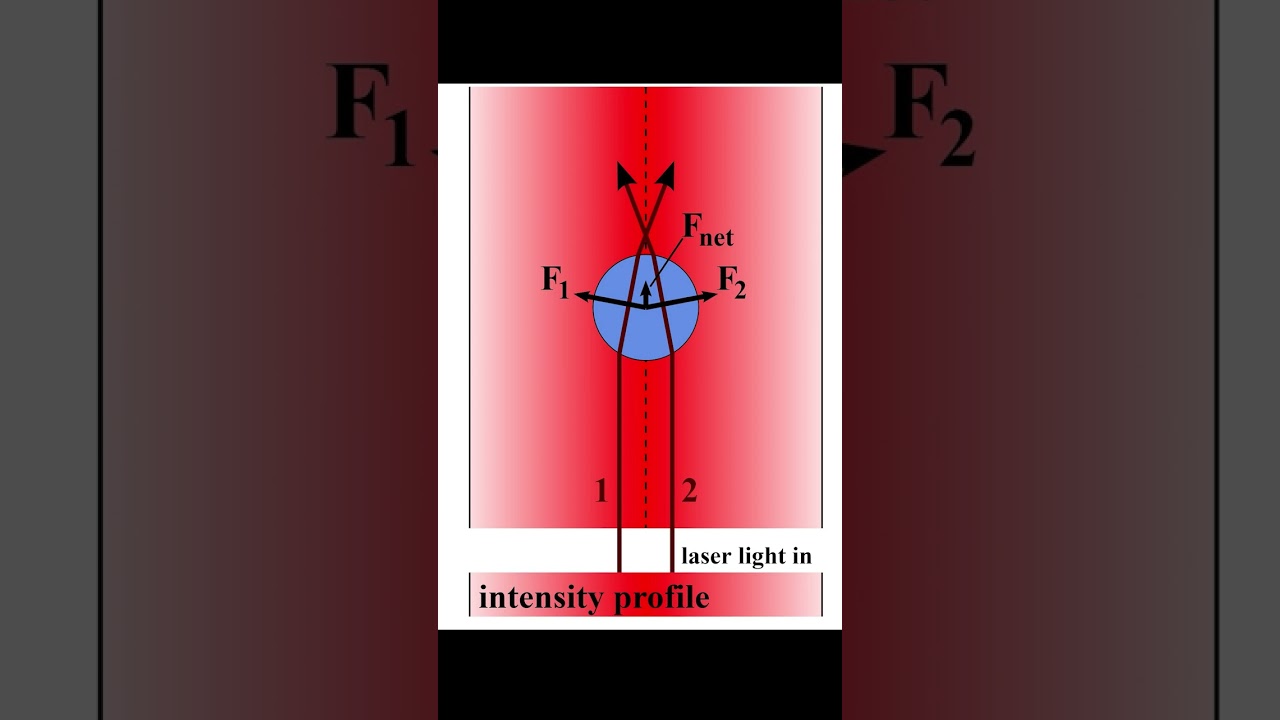 I Made Optical Tweezers YouTube