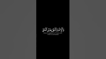 قُلْ إِنَّمَا حَرَّمَ رَبِّيَ الْفَوَاحِشَ ]كروما شاشة سوداء قرآن _ سورة الأعراف-الشيخ ماهر المعيقلي