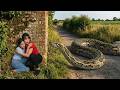 She Was Alone in the Jungle… Then a Giant Python Attacked!