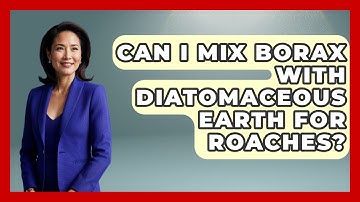 Can I Mix Borax With Diatomaceous Earth For Roaches? - Insects and Invaders