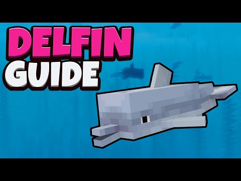 Video: Delfine, Die Einen Schatz Finden! Minecrafts Große Ozeanüberholung