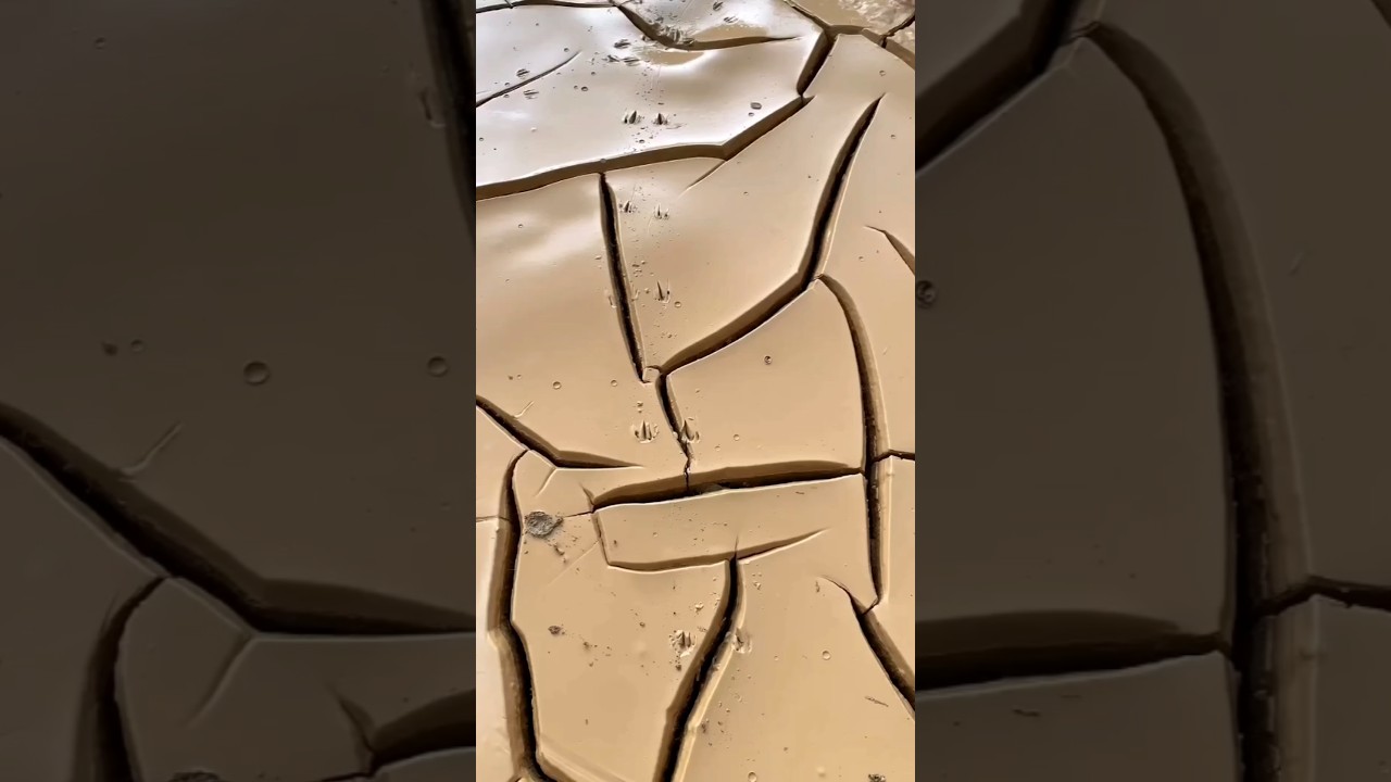 never leave this soil #shorts #short #trending #viralshorts #facts #reels