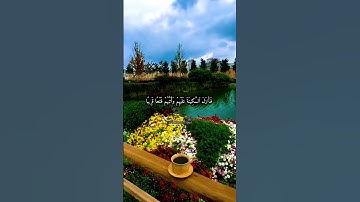 سورة الفتح بصوت القارئ محمد ربيع🌼 #قرآن#تلاوة_خاشعة#سورة_الفتح#لايك#متابعه#reels#اكسبلور#خشوع