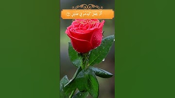 القران الكريم سعد الغامدي سورة الفيل /أَلَمۡ تَرَ كَيۡفَ فَعَلَ رَبُّكَ بِأَصۡحَٰبِ ٱلۡفِيلِ ۝١