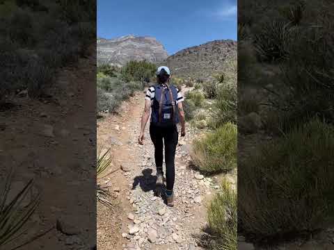 Video: 7 Top-rated wandelingen in Red Rock Canyon National Conservation Area