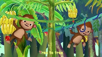 Monkey in the jungle.|(Sponsored by:Gamavision Csupo Effects)