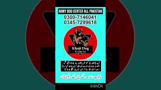 Khoji Dog Center Bhakkar
