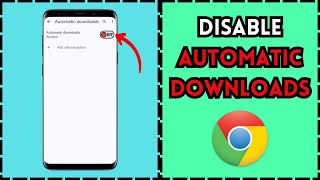 How to Disable Automatic Downloads on Google Chrome (2024)