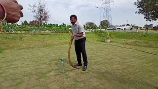 Does the Snake Repellent Stick really work #snake #cobra #jadcherla