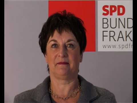 Brigitte Zypries, Bundestagsabgeordnete fÃ¼r Darmstadt, zur UmweltprÃ¤mie