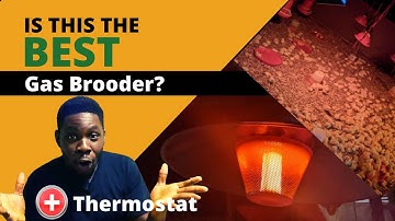 Is This The Best Chicken Gas Brooder? Unboxing, Installation